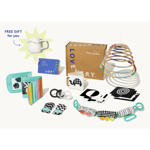 Lovevery Play Kits Subscription