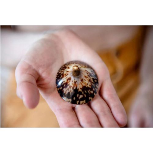 100% Natural Breastfeeding Seashells