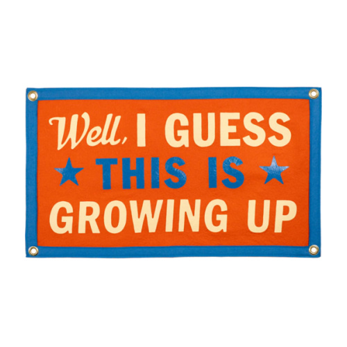 Well, I Guess This Is Growing Up Camp Flag | Blink-182 x Oxford Pennant