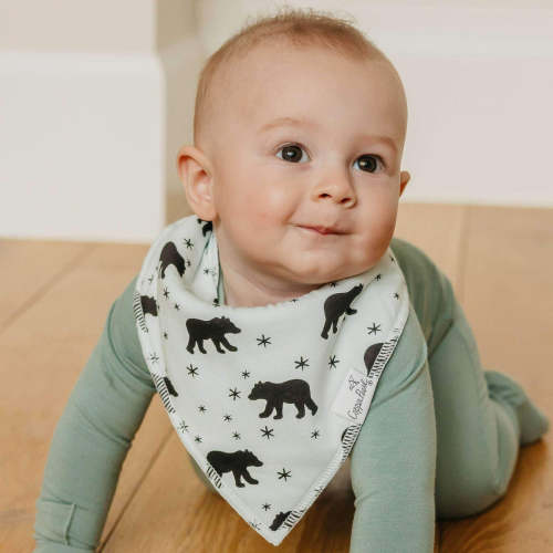 4 Pack Baby Bandana Bibs - Archer