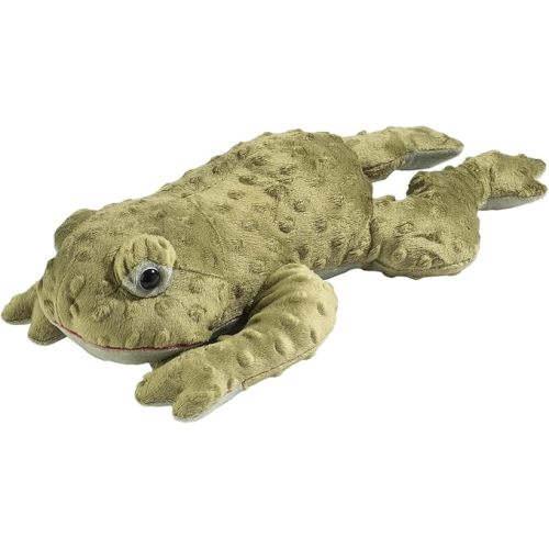 Sonoma Lavender Microwaveable Aromatherapy Pillow, Plush Freddy The Eucalyptus Tree Frog, Eucalyptus Scented with Removable Washable Cover