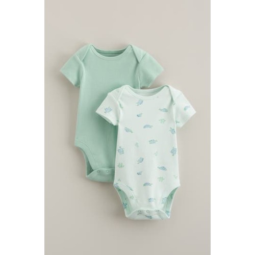Assorted 2-Pack Bodysuits, Newborn