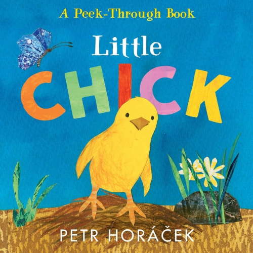 Little Chick Binding: Hardcover
