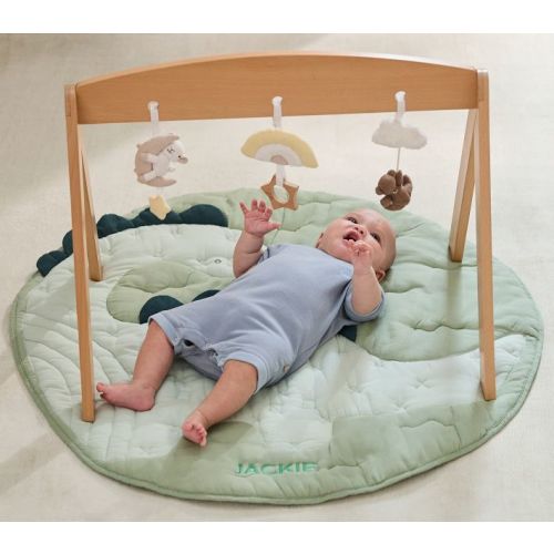 Wooden Activity Gym Arm