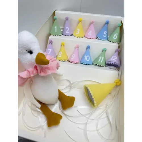 Baby Monthly Milestone Hat Set with Goose