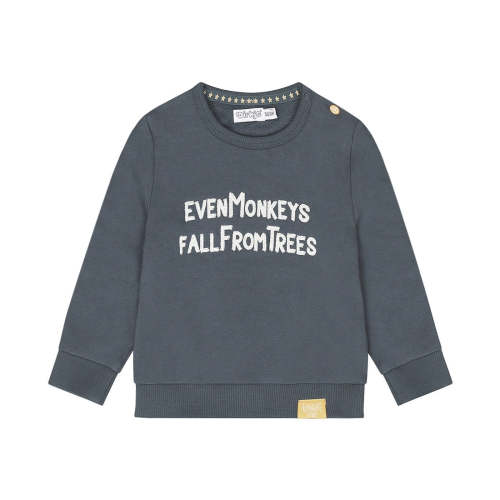 Steel Blue Sweatshirt