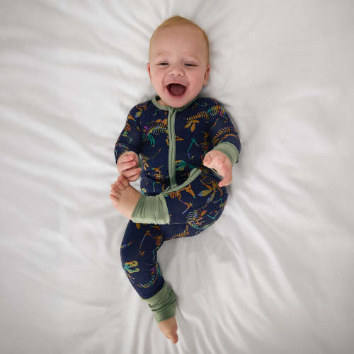 Fossil Quest Zippy