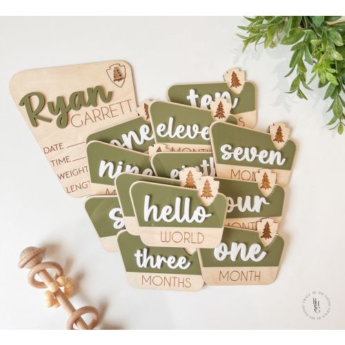 National Park Monthly Milestone Discs For Baby Photos + Matching Birth Stat Sign | Monthly Milestone Marker | Rustic Monthly Milestones