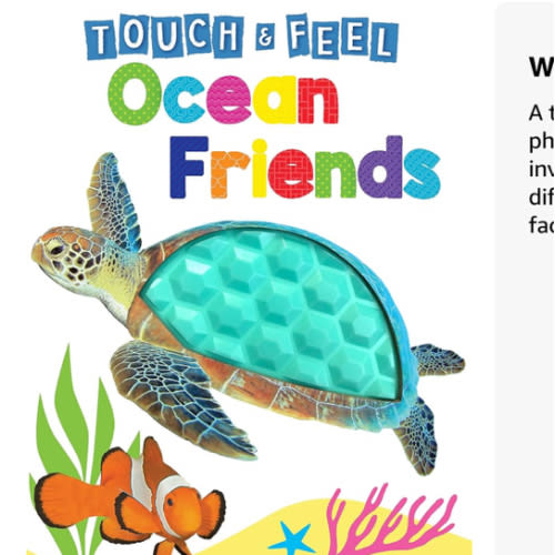 Ocean Friends - Touch and Feel Board Book - Sensory Board Book