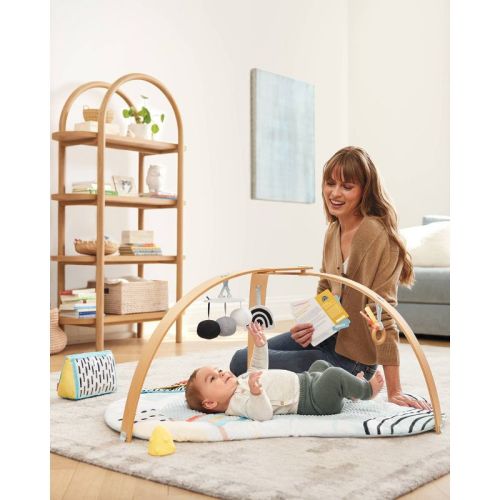 Skip Hop Discoverosity Montessori Activity Gym