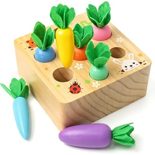 Montessoritoys for 1 Year Old, Wood Toys Developmental Shape Sorting