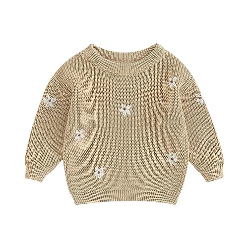 Infant Toddler Baby Girl Knit Sweater Long Sleeve Floral Embroidery Pullover Sweatshirt Warm Fall Winter Clothes