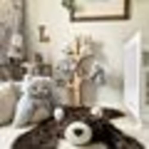 Brown Bear Rug, Grizzly Faux Fur