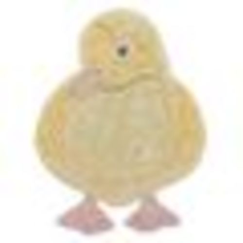 Washable animal cotton rug ducky