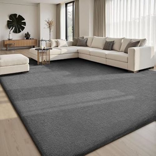 Sour Lemon Area Rugs 9x12 for Living Room Bedroom, Large Carpet Grey Rug