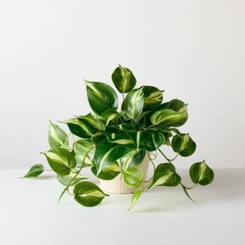 12" Medium Evergreen Leaf Artificial Plant - Hearth & Hand™ with Magnolia