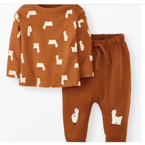 Baby Long Sleeve T-Shirt & French Terry Pants Set | Hanna Andersson