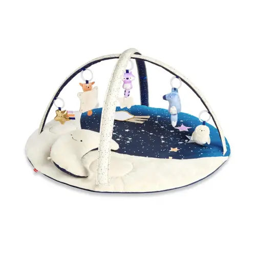 Skip Hop Celestial Dreams Activity Gym