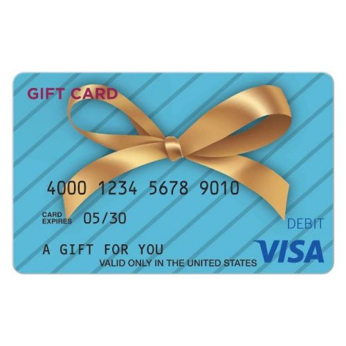 Visa Gift Card - $25 + 4 Fee