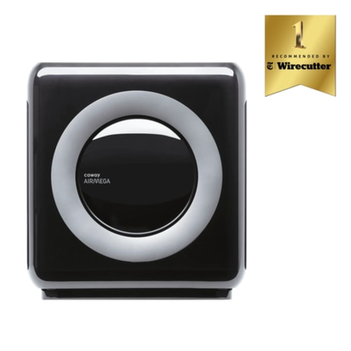 Coway Mighty Air Purifier with True HEPA Filtration