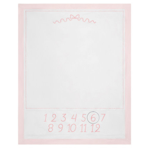 Girls Milestone Blanket with Gift Box | Feltman Brothers