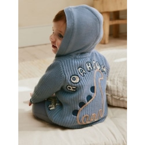 Buy Navy Dinosaur Print Embroidered Baby Knitted Hooded Cardigan (0mths-2yrs) from Next USA