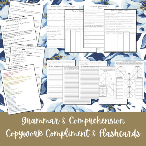 Grammar & Reading Comprehension: Copywork Complement