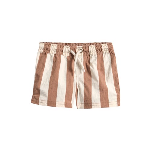 Stripe Swim Trunks