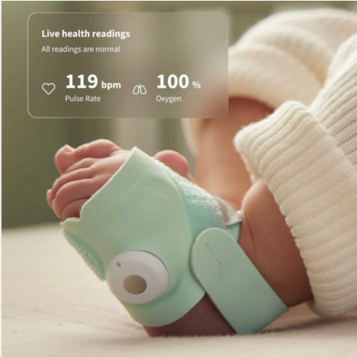 Dream Sock® – Owlet US