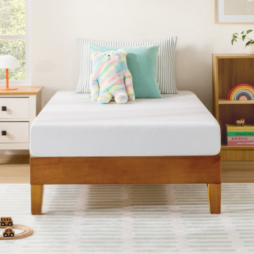 Wayfair Sleep™ 6" Medium Memory Foam Mattress & Reviews | Wayfair