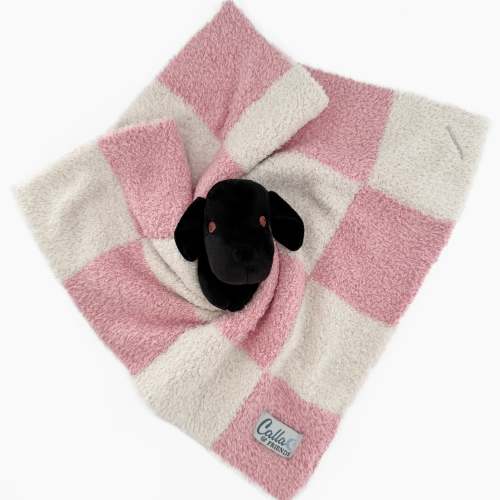 The Calla Lovey – Calla and Friends