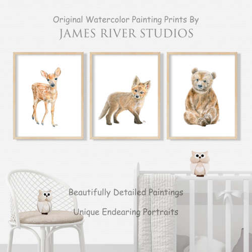 Woodland Animal Prints Set of 3