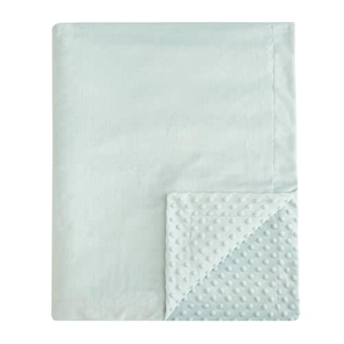 david's kids Micro Fleece Minky Baby Blanket for Boys Girls Neutral with Double Layer and Soothing Raised Dots, Breathable and Soft Lightweight Receiving Blanket for Newborns 30x40 Inches, Light Blue