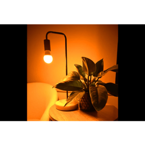 Full Spectrum Light Bulb