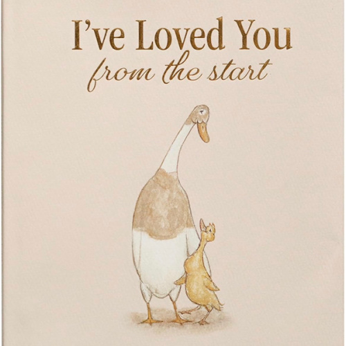 I've Loved You from the Start: A Tender Story of Unconditional Love (Tabitha Paige Children's Book Series)