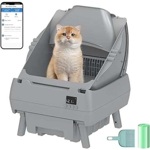 Automatic Cat Litter Box Self Cleaning - APP Control, Open-Style Design, Smart Health Monitor, Suitable for Medium Cats and Kittens, Safe Anti-Pinch, Quiet, A Lifelong Companion - Grey