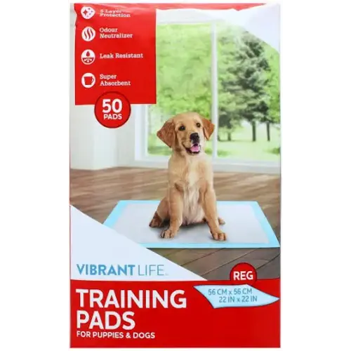 vibrant life training pad - Google Shopping