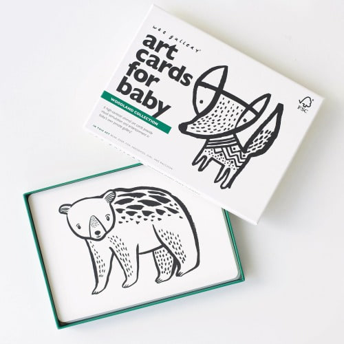 Wee Gallery Art Cards for Baby — High-Contrast Black & White Infant Fl – Birch