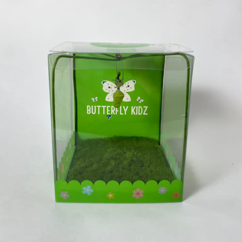 Butterfly Hatching Kit