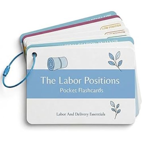 Labor Positions Pocket Guide | Doula Supplies & L&D Nurse Essentials | Organized by Fetal Station (High, Mid, Low) | Epidural Friendly | Childbirth Education Tools & Midwife Gifts
