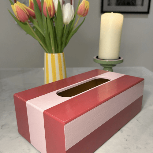 Red and Pink Striped Tissue Box