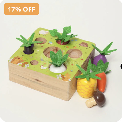 Montessori Vegetable Set - Veggies Can Be Cool!