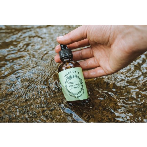 Milky Oats Tincture — Plant Healing Woman