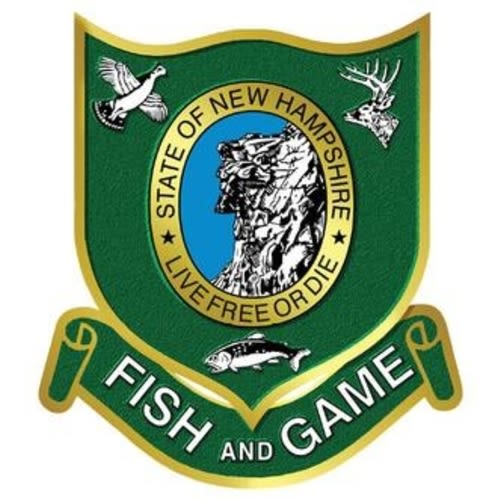 NH Newborn Lifetime Combination Hunting & Freshwater Fishing License