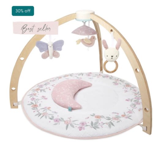 Baby Gym | Premium Baby Activity Gym | aden + anais