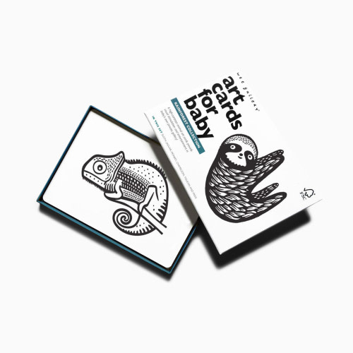 Art Cards for Baby - Rainforest
