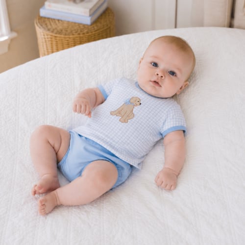 Puppy Playtime Applique Diaper Cover Set - Light Blue