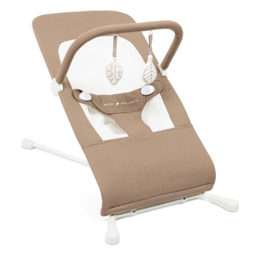 Baby Delight Highland Organic Baby Bouncer | Infant | 0 – 6 Months | 3-Position Recline | Organic Sage