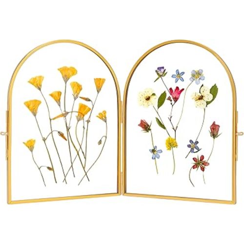 Double Glass Frame for Pressed Flowers Handmade, Pressed Flower Frame, Hinged Tabletop Brass Photo Frames, Dried Flower Display Folding Picture Frame for Home, ArcShaped, Gold, 6×8 Inches