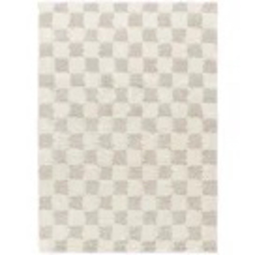 Molly Checkered Indoor Rug 6x9